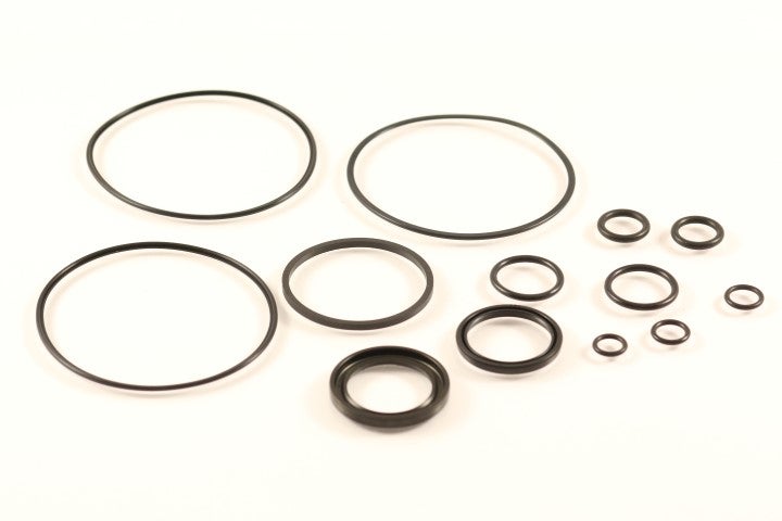 Seal kit-hydraulic motor CharLynn H+