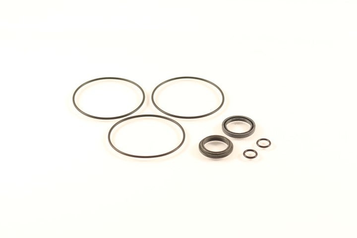 Seal kit-hydraulic motor CharLynn 50cc