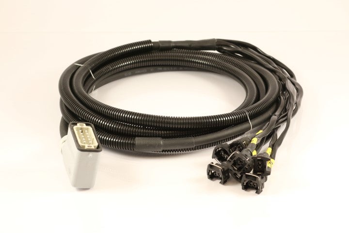 Unit cable ss10 JT ILME 10P EC10-3,8m